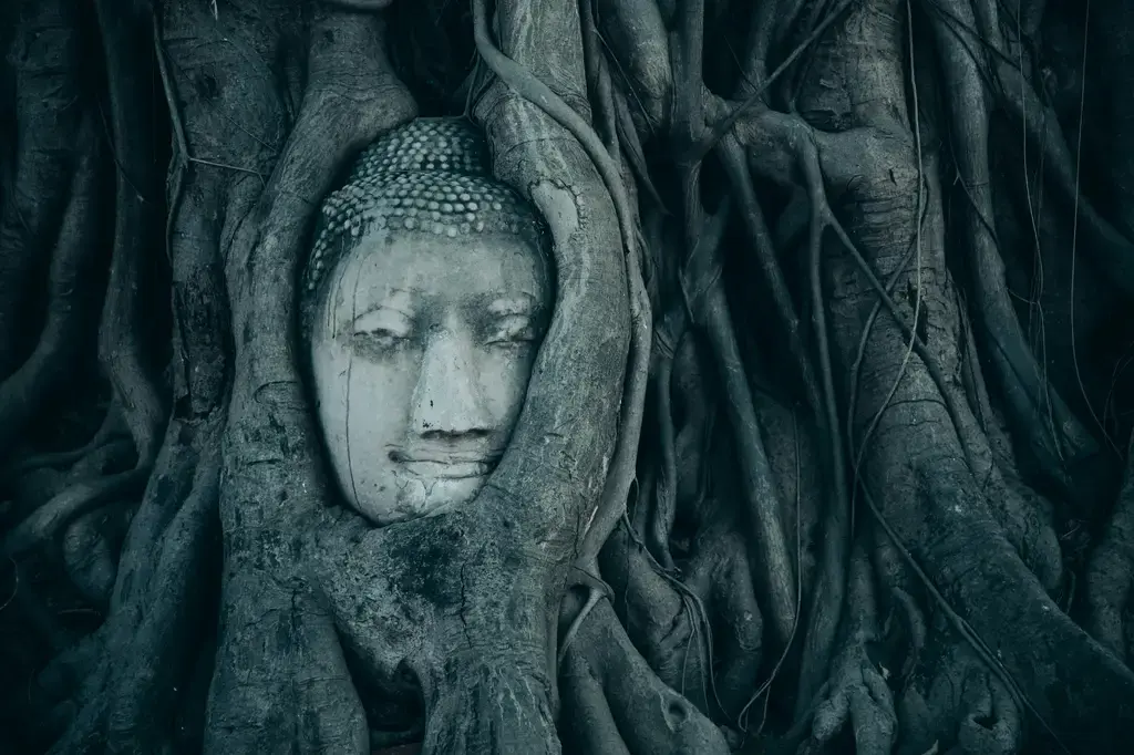 泰國,千嬌百媚的微笑國度:從美食到文化,徹底攻略泰國