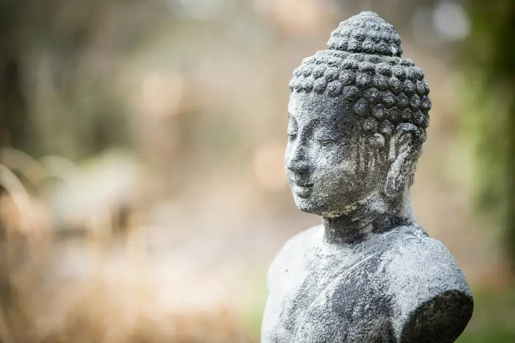 清萊一日遊:探索泰國北部的神秘寶藏