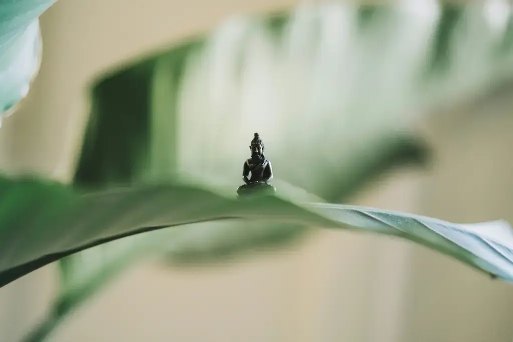 目錄